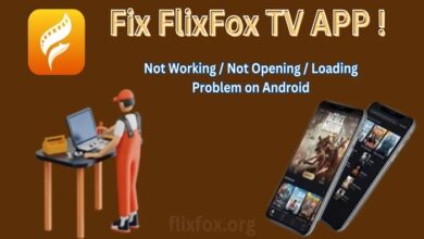 flixfox app review