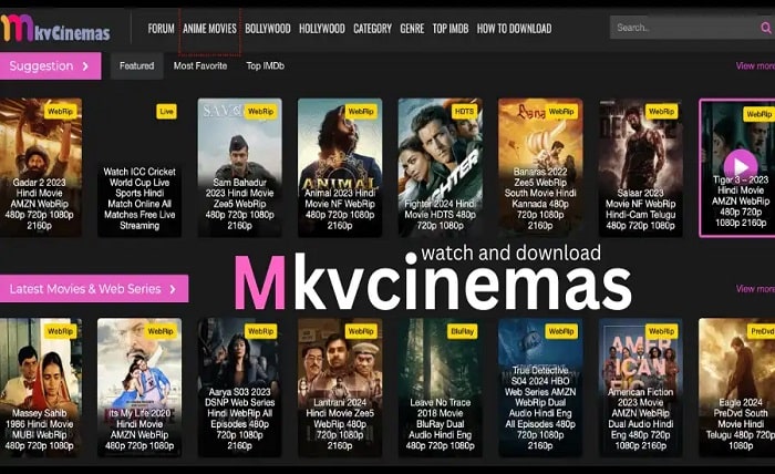 mkvcinemas com 2024