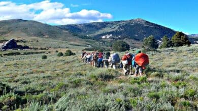 services offered by bluefire wilderness therapy